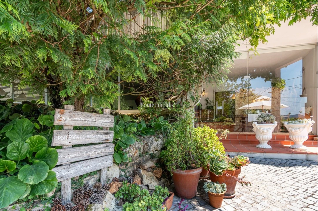 Quinta T7 para Venda em Cernache Foto 2