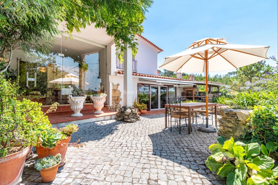 Quinta T7 para Venda em Cernache Foto 1