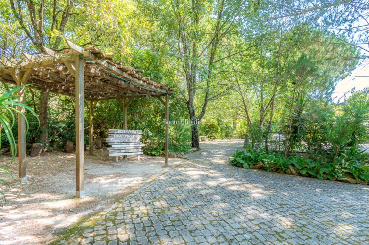 Quinta T7 para Venda em Cernache Foto 43