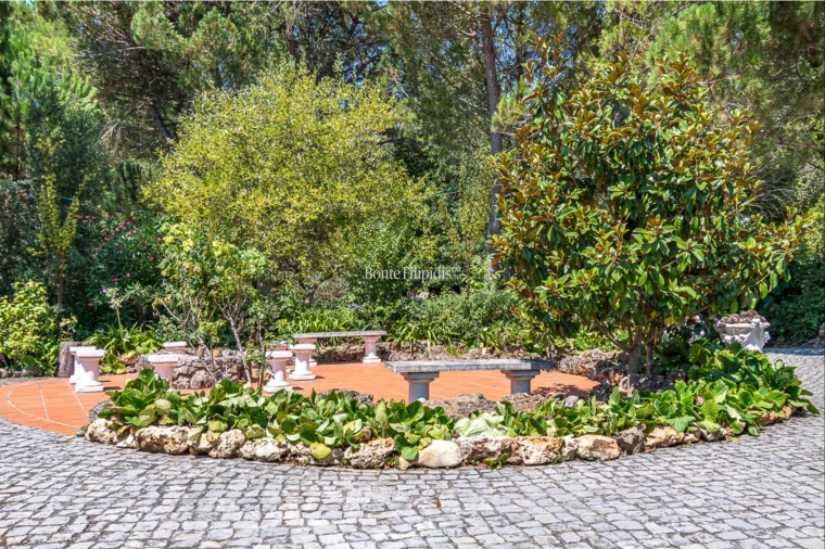 Quinta T7 para Venda em Cernache Foto 42