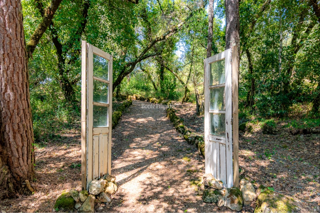 Quinta T7 para Venda em Cernache Foto 47