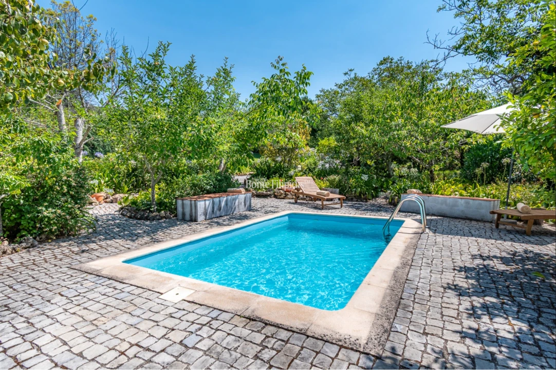 Quinta T7 para Venda em Cernache Foto 39