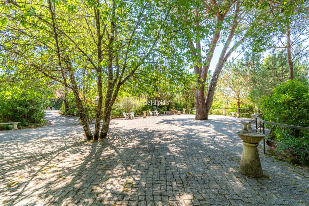 Quinta T7 para Venda em Cernache Foto 41