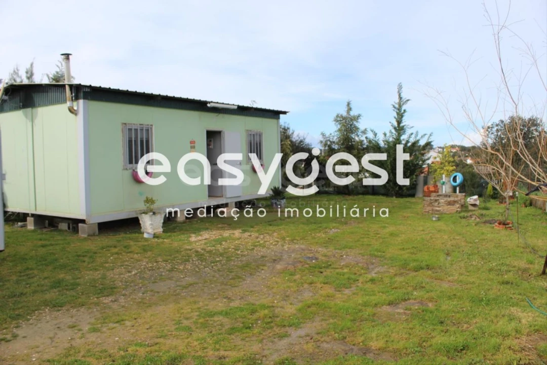 Terreno Agricola ou Rústico para Venda em São Martinho das Amoreiras Foto 1