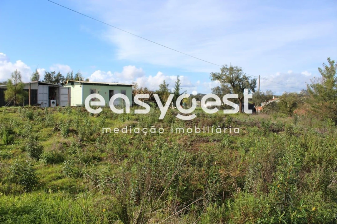 Terreno Agricola ou Rústico para Venda em São Martinho das Amoreiras Foto 3