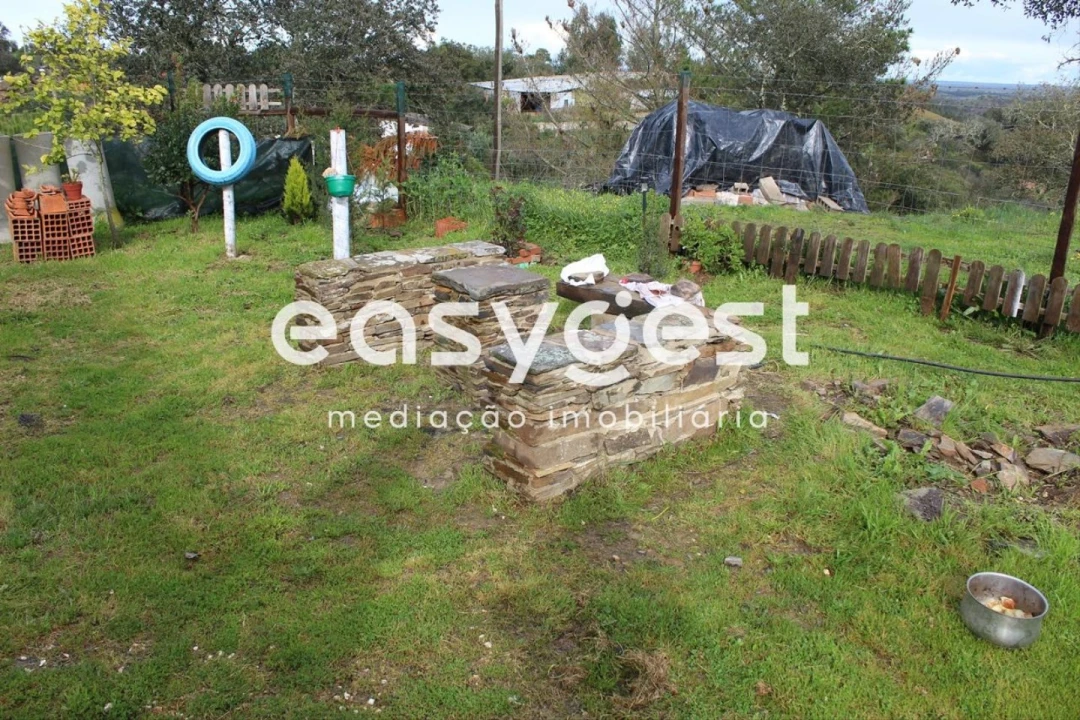 Terreno Agricola ou Rústico para Venda em São Martinho das Amoreiras Foto 4