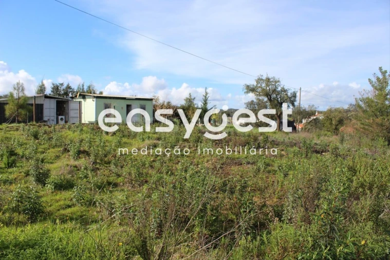 Terreno Agricola ou Rústico para Venda em São Martinho das Amoreiras Foto 3