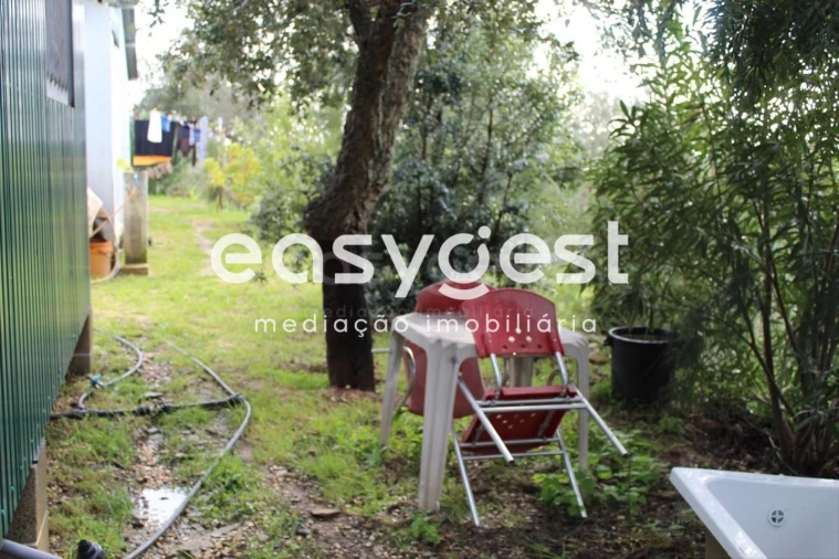 Terreno Agricola ou Rústico para Venda em São Martinho das Amoreiras Foto 6