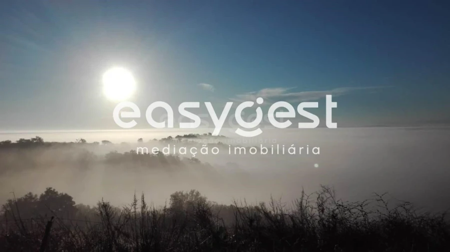 Terreno Agricola ou Rústico para Venda em São Martinho das Amoreiras Foto 15