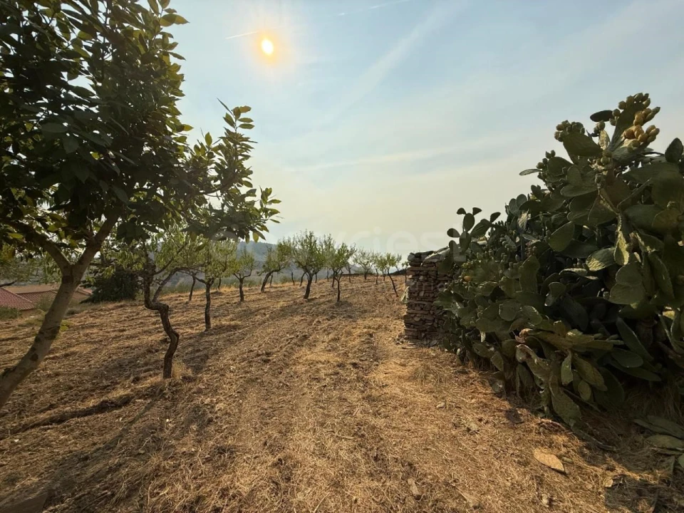 Moradia T4 para Venda em Urros e Peredo dos Castelhanos Foto 18