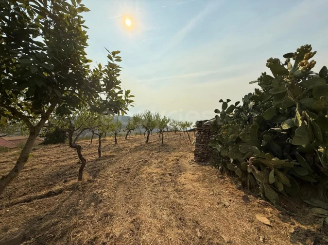 Moradia T4 para Venda em Urros e Peredo dos Castelhanos Foto 18