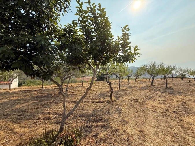 Moradia T4 para Venda em Urros e Peredo dos Castelhanos Foto 21