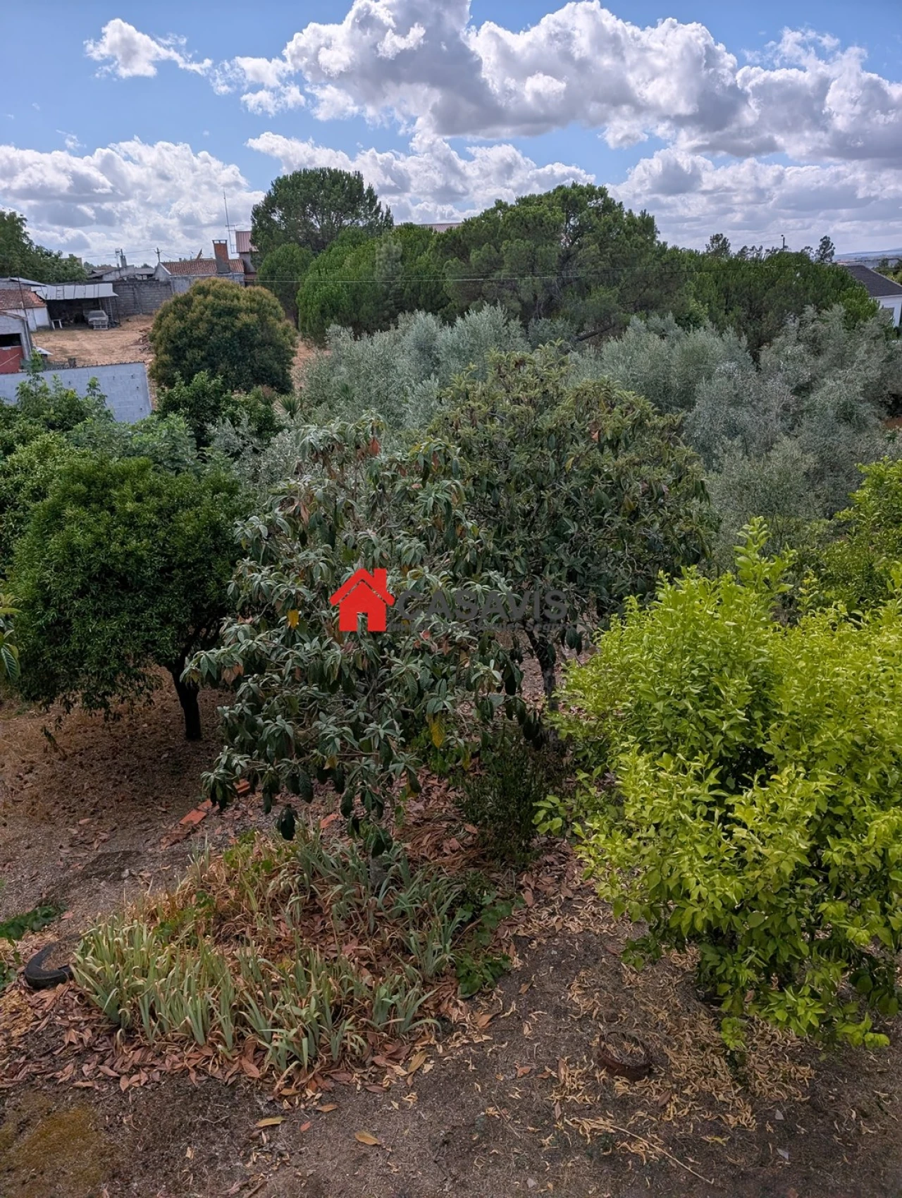 Quinta T4 para Venda em Lapa do Lobo Foto 3