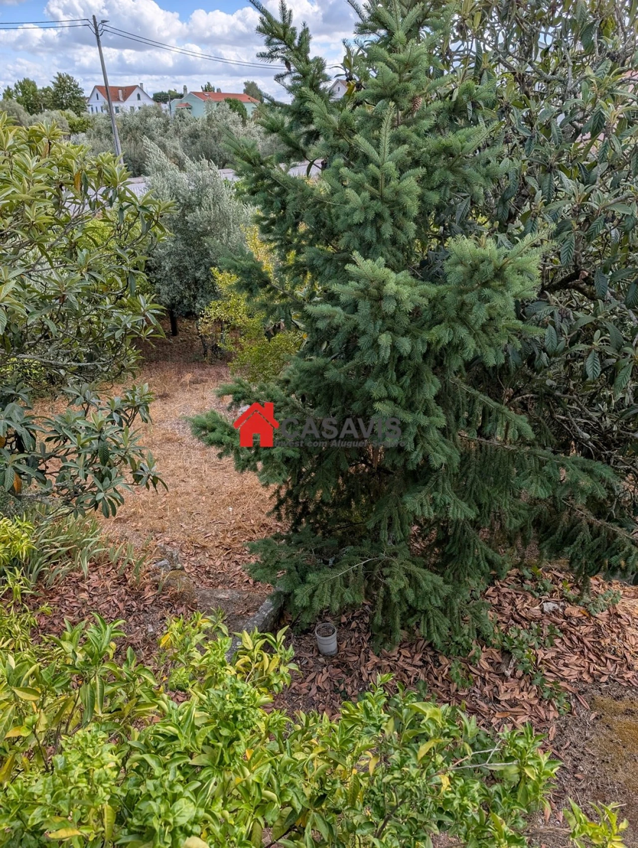 Quinta T4 para Venda em Lapa do Lobo Foto 4