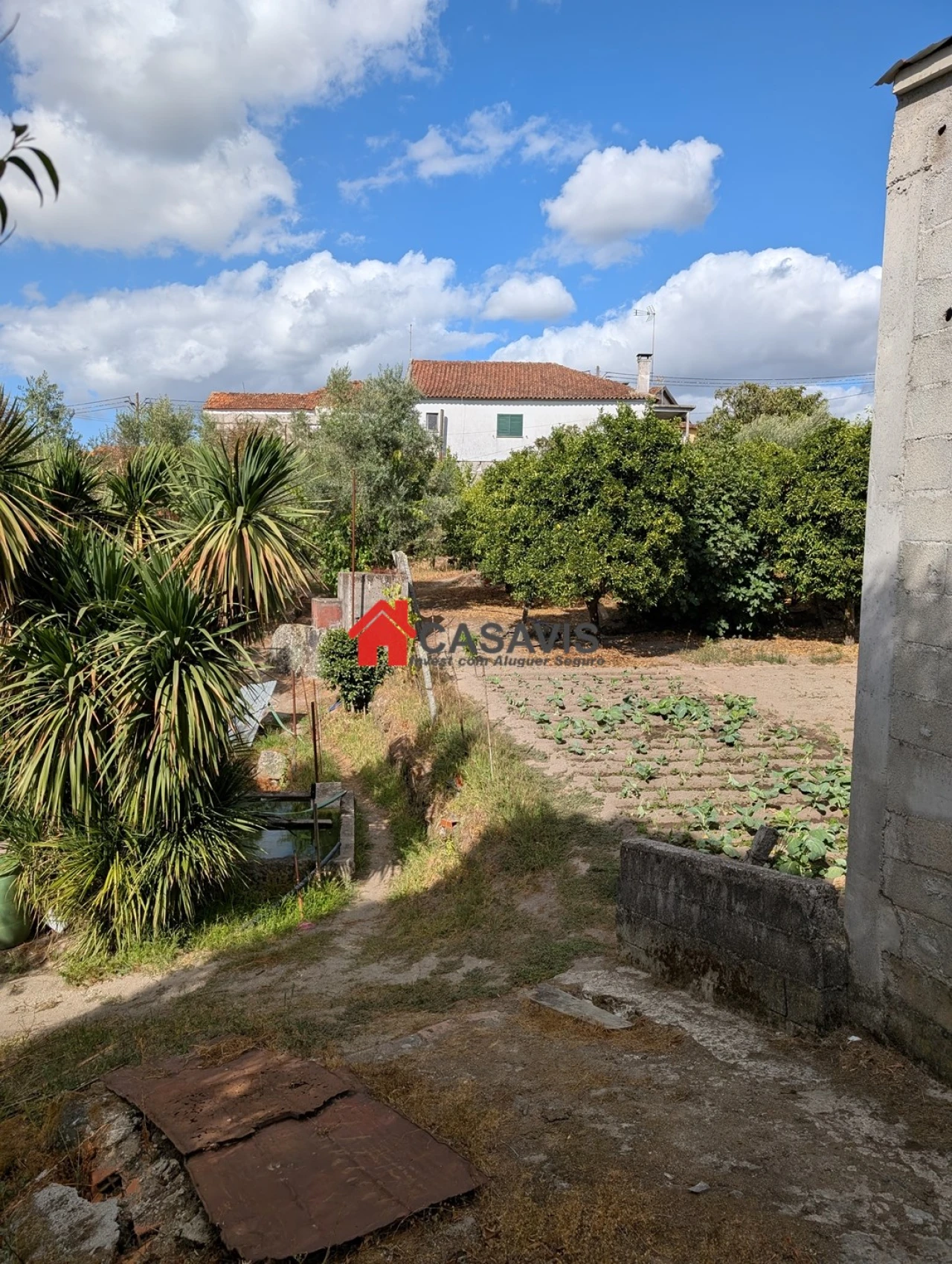 Quinta T4 para Venda em Lapa do Lobo Foto 29