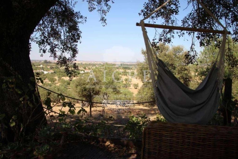 Quinta T8 para Venda em Malagueira e Horta das Figueiras Foto 6
