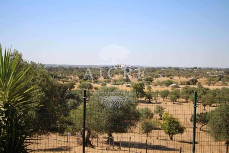 Quinta T8 para Venda em Malagueira e Horta das Figueiras Foto 7