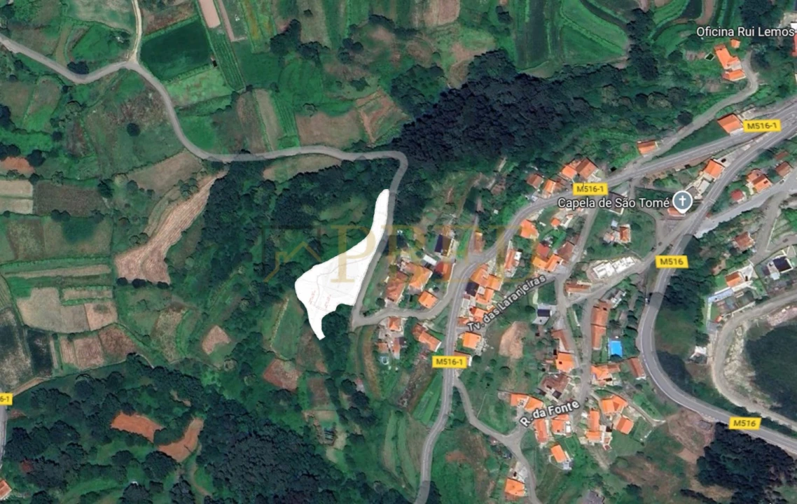 Terreno para Venda em Gondarem Foto 5