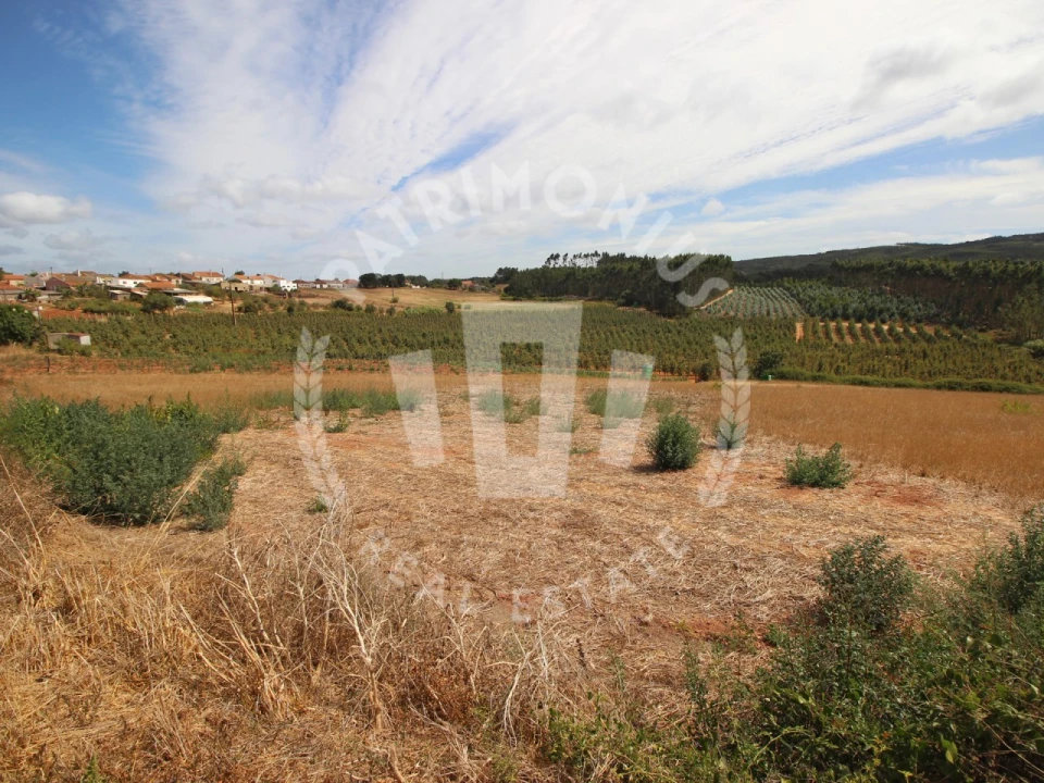 Terreno Agricola ou Rústico para Venda em Lamas e Cercal Foto 13