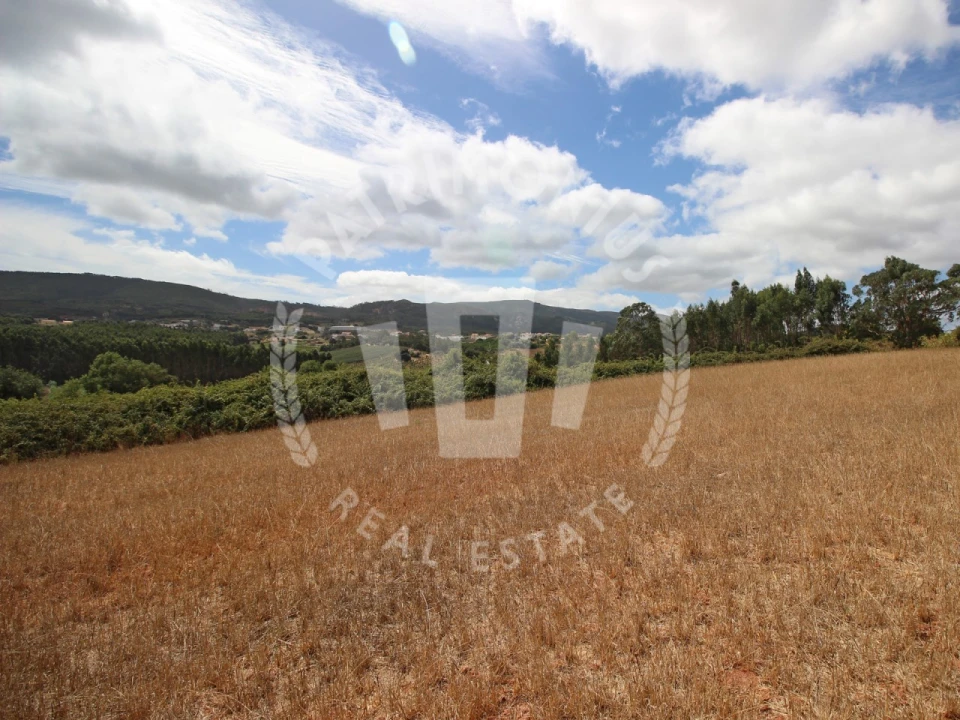Terreno Agricola ou Rústico para Venda em Lamas e Cercal Foto 18