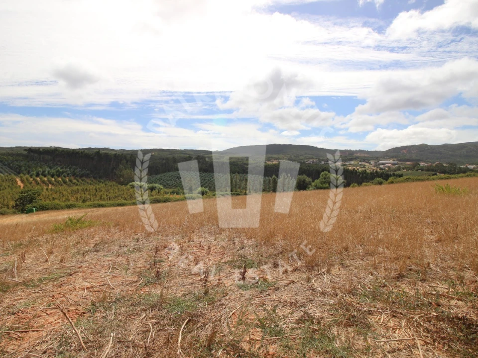 Terreno Agricola ou Rústico para Venda em Lamas e Cercal Foto 19