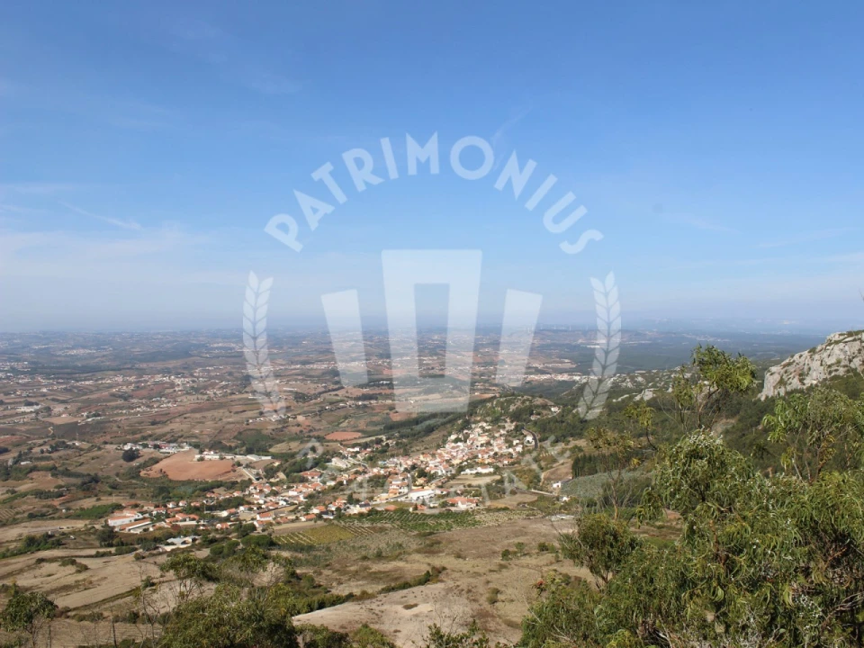 Terreno Agricola ou Rústico para Venda em Lamas e Cercal Foto 20
