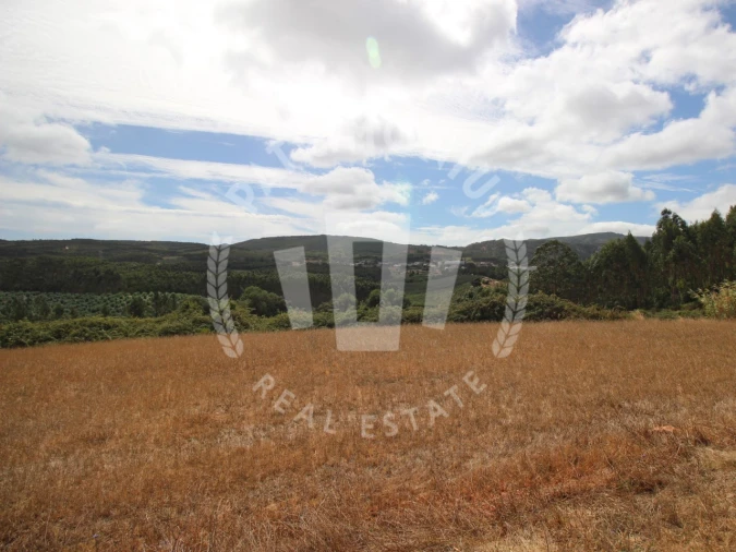 Terreno Agricola ou Rústico para Venda em Lamas e Cercal Foto 6