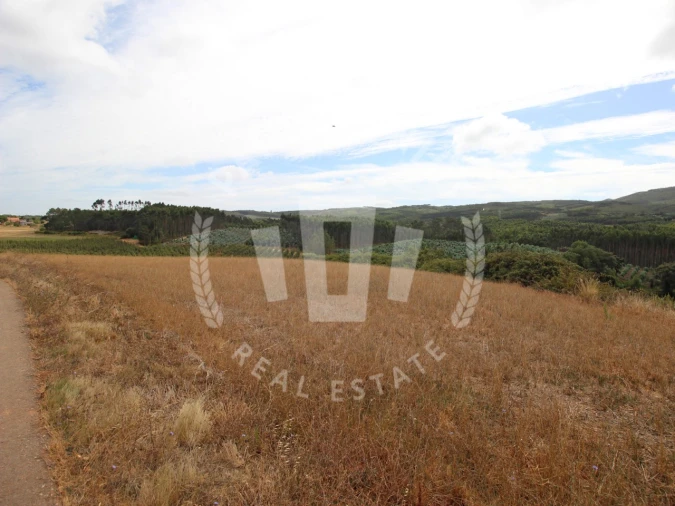 Terreno Agricola ou Rústico para Venda em Lamas e Cercal Foto 8