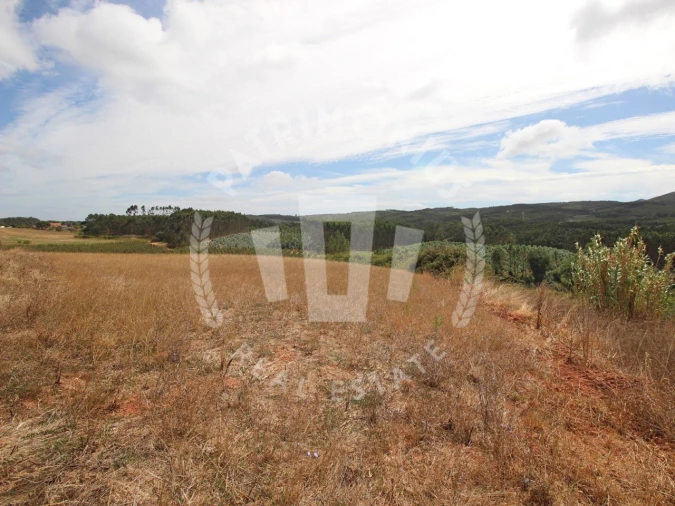 Terreno Agricola ou Rústico para Venda em Lamas e Cercal Foto 9
