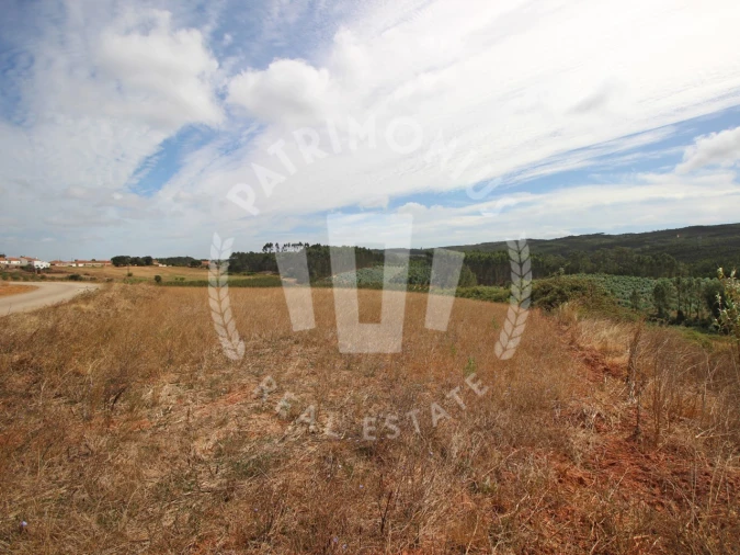 Terreno Agricola ou Rústico para Venda em Lamas e Cercal Foto 10