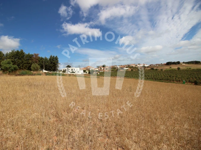 Terreno Agricola ou Rústico para Venda em Lamas e Cercal Foto 12