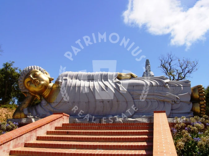 Terreno Agricola ou Rústico para Venda em Lamas e Cercal Foto 23