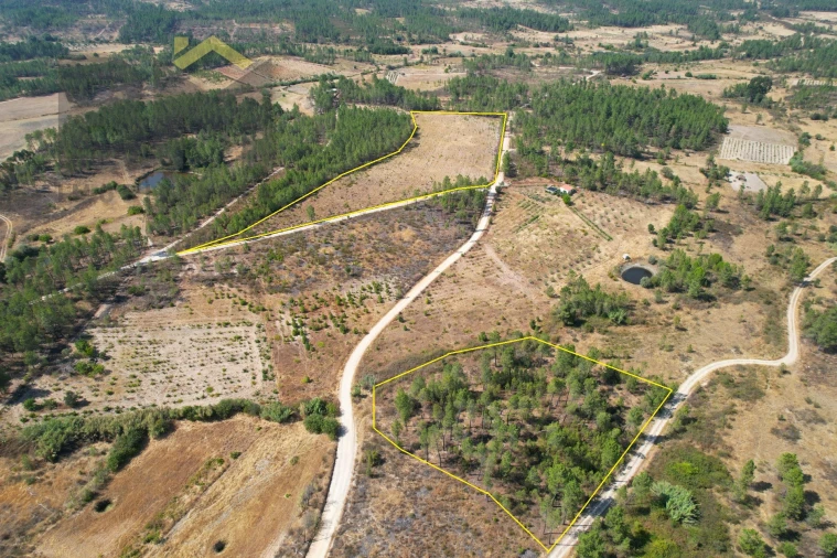 Terreno Agricola ou Rústico para Venda em Sarzedas