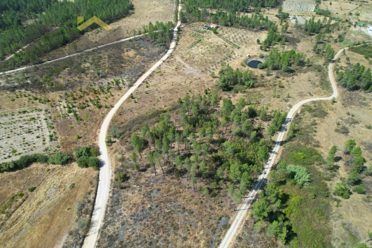 Terreno Agricola ou Rústico para Venda em Sarzedas Foto 8