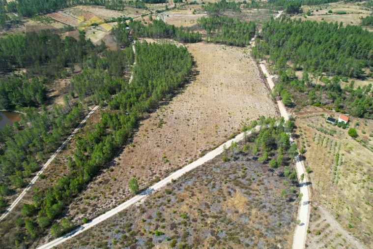 Terreno Agricola ou Rústico para Venda em Sarzedas Foto 2