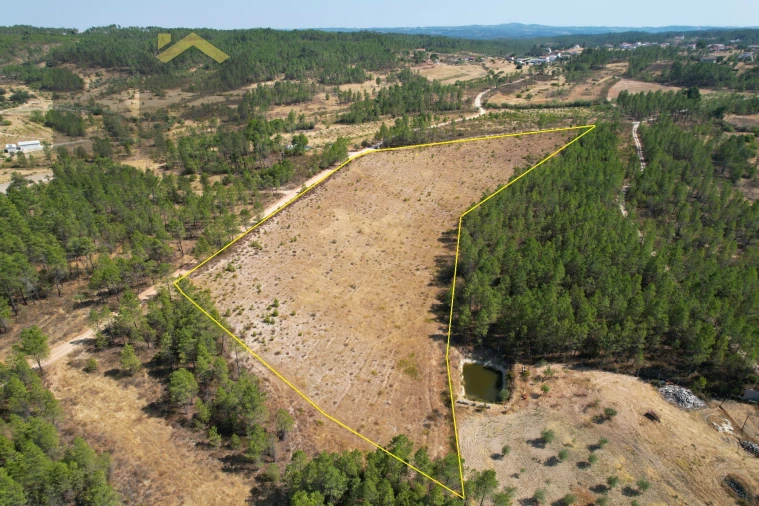 Terreno Agricola ou Rústico para Venda em Sarzedas Foto 6