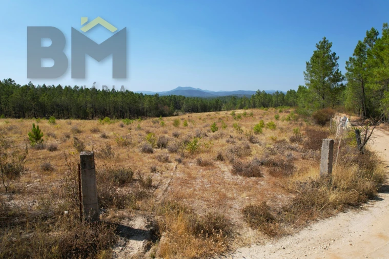 Terreno Agricola ou Rústico para Venda em Sarzedas Foto 5