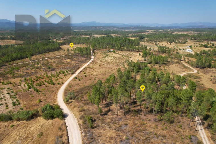 Terreno Agricola ou Rústico para Venda em Sarzedas Foto 12
