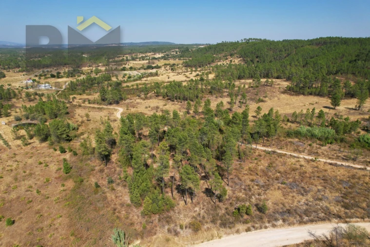 Terreno Agricola ou Rústico para Venda em Sarzedas Foto 10