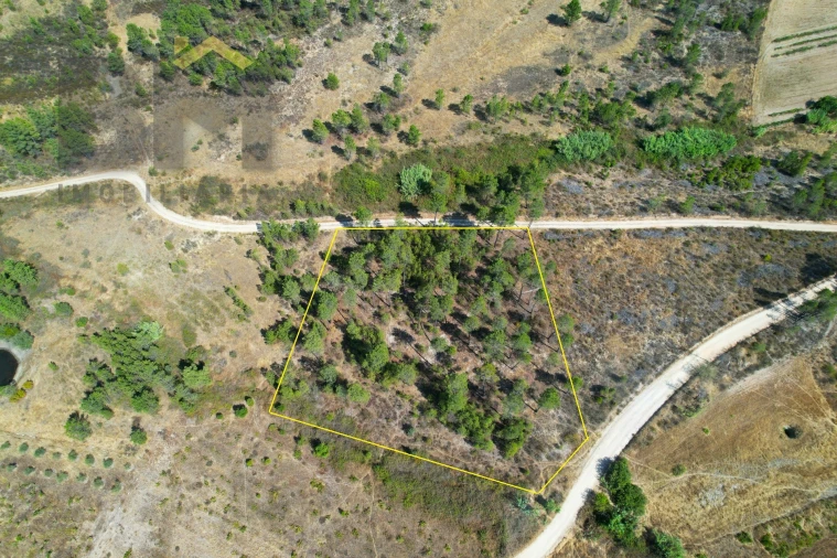 Terreno Agricola ou Rústico para Venda em Sarzedas Foto 9