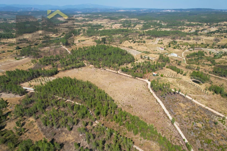 Terreno Agricola ou Rústico para Venda em Sarzedas Foto 11