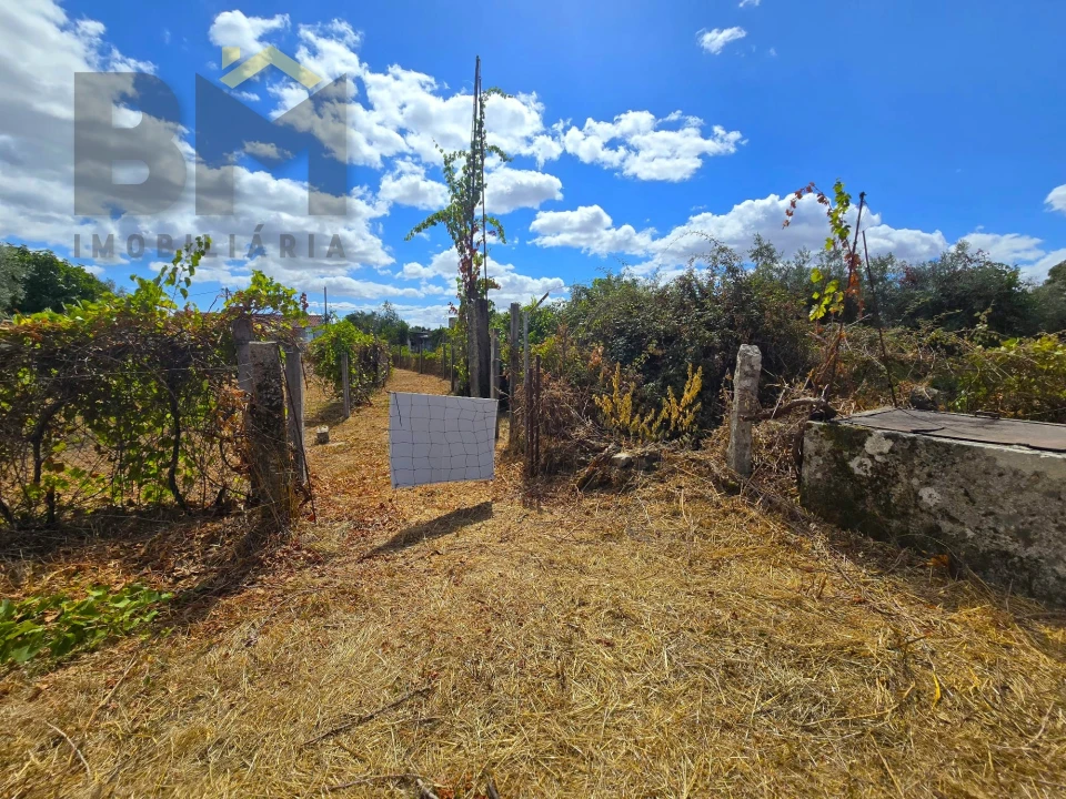 Terreno Agricola ou Rústico para Venda em Escalos de Cima e Lousa Foto 13