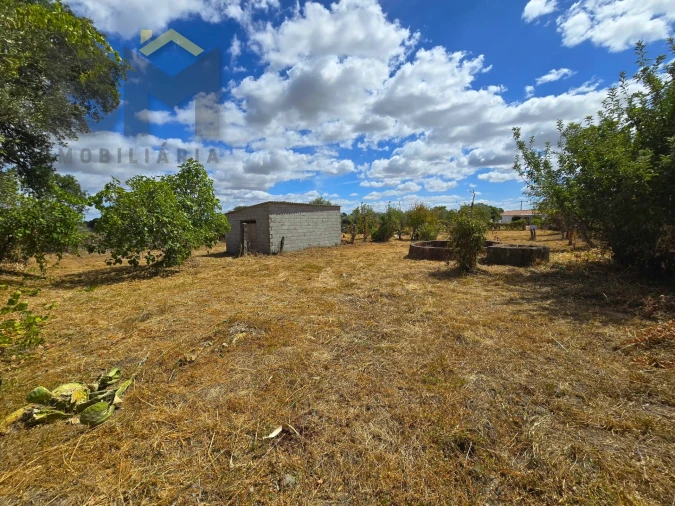 Terreno Agricola ou Rústico para Venda em Escalos de Cima e Lousa Foto 12