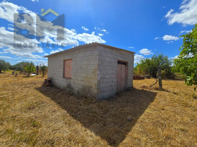 Terreno Agricola ou Rústico para Venda em Escalos de Cima e Lousa Foto 4
