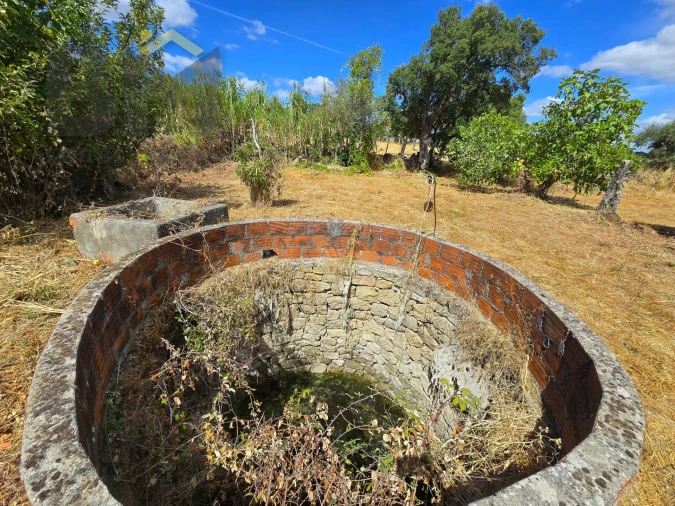 Terreno Agricola ou Rústico para Venda em Escalos de Cima e Lousa Foto 6