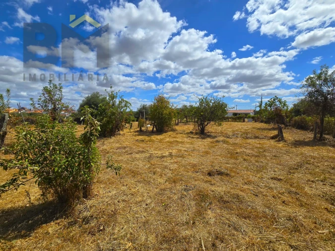 Terreno Agricola ou Rústico para Venda em Escalos de Cima e Lousa Foto 10