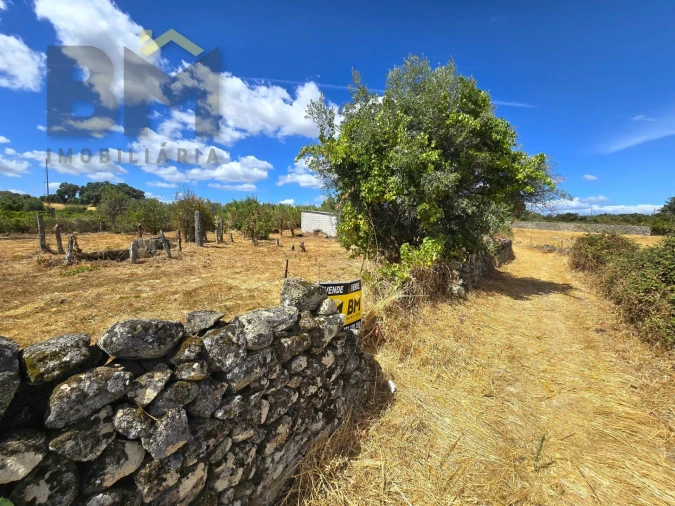 Terreno Agricola ou Rústico para Venda em Escalos de Cima e Lousa Foto 15