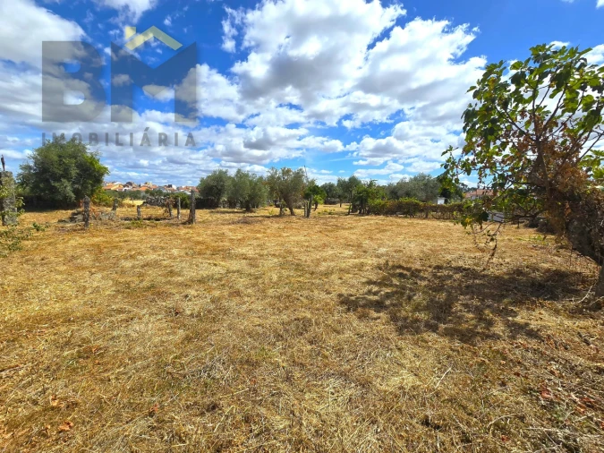 Terreno Agricola ou Rústico para Venda em Escalos de Cima e Lousa Foto 8