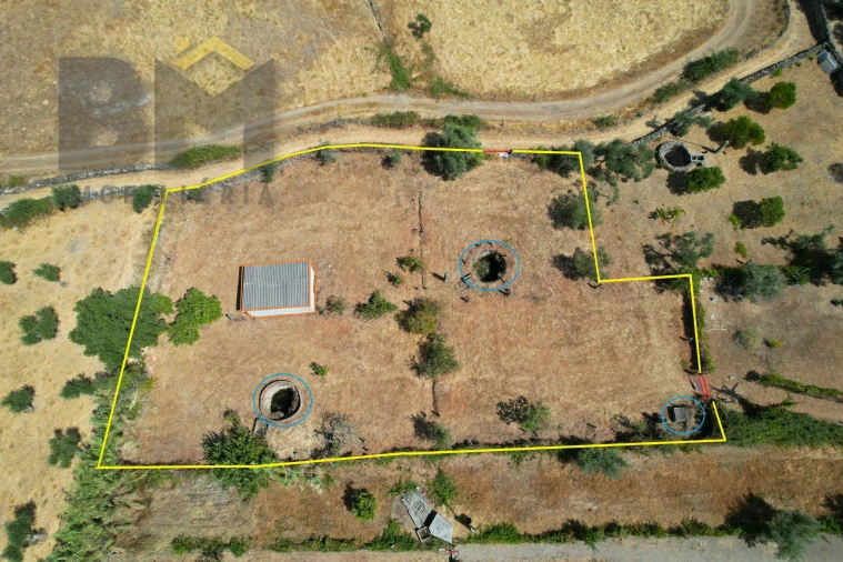 Terreno Agricola ou Rústico para Venda em Escalos de Cima e Lousa Foto 3