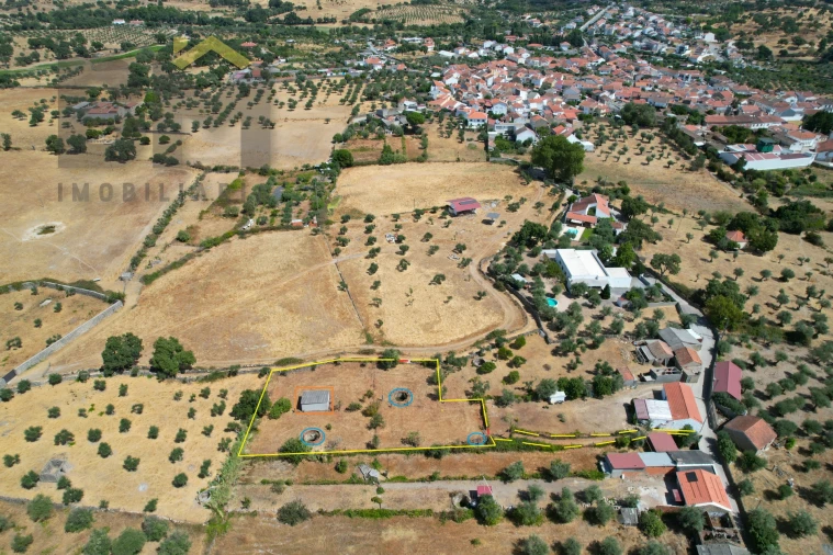 Terreno Agricola ou Rústico para Venda em Escalos de Cima e Lousa Foto 2